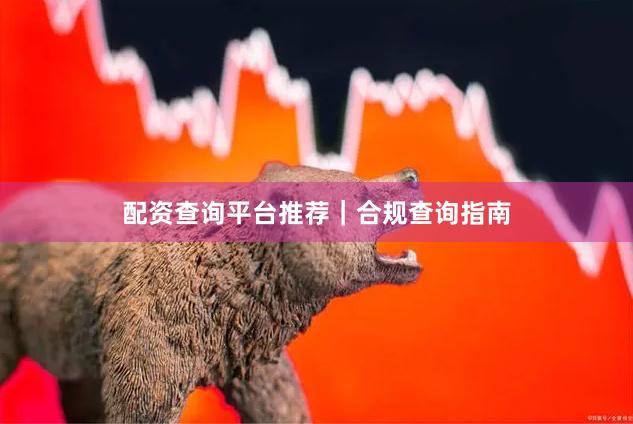 配资查询平台推荐|合规查询指南